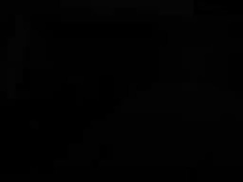 Harlem shake dei tifosi Palermitani... by Pietro Falanga