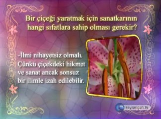 Allah'ın Esmaları 8. Es Selam isminin anlamı ve özellikleri okyay dernegi