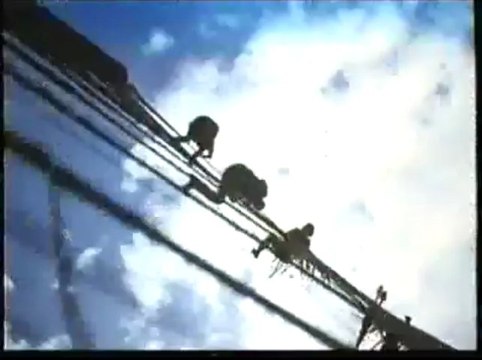 Jurassic Park (Parque Jurásico) (Trailer Español)