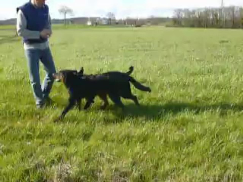 hydromel hanoi 17 mars