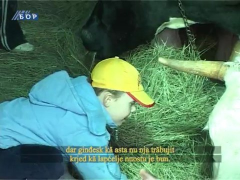 Selo moje (titlovano na vlaški jezik), 17. mart 2013.