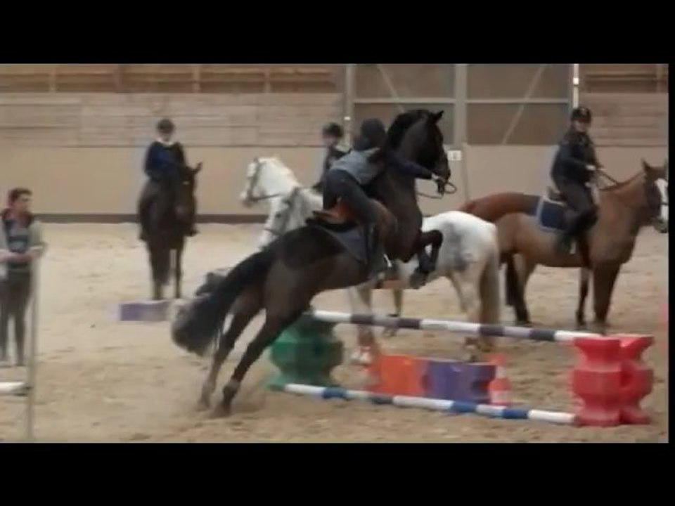 Saintoune ♥