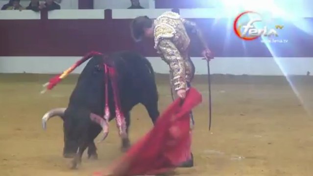 Novillada Samadet : Juan Leal gracie Jalado de Fuente Ymbro