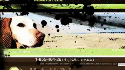 HAMPI Natural Pet Spa - Testimonials