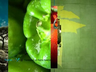 Zaiqa TV Broadcast Package