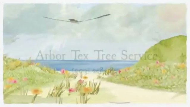 Arbor Tex Tree Service (903) 258-1855