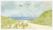 Arbor Tex Tree Service (903) 258-1855