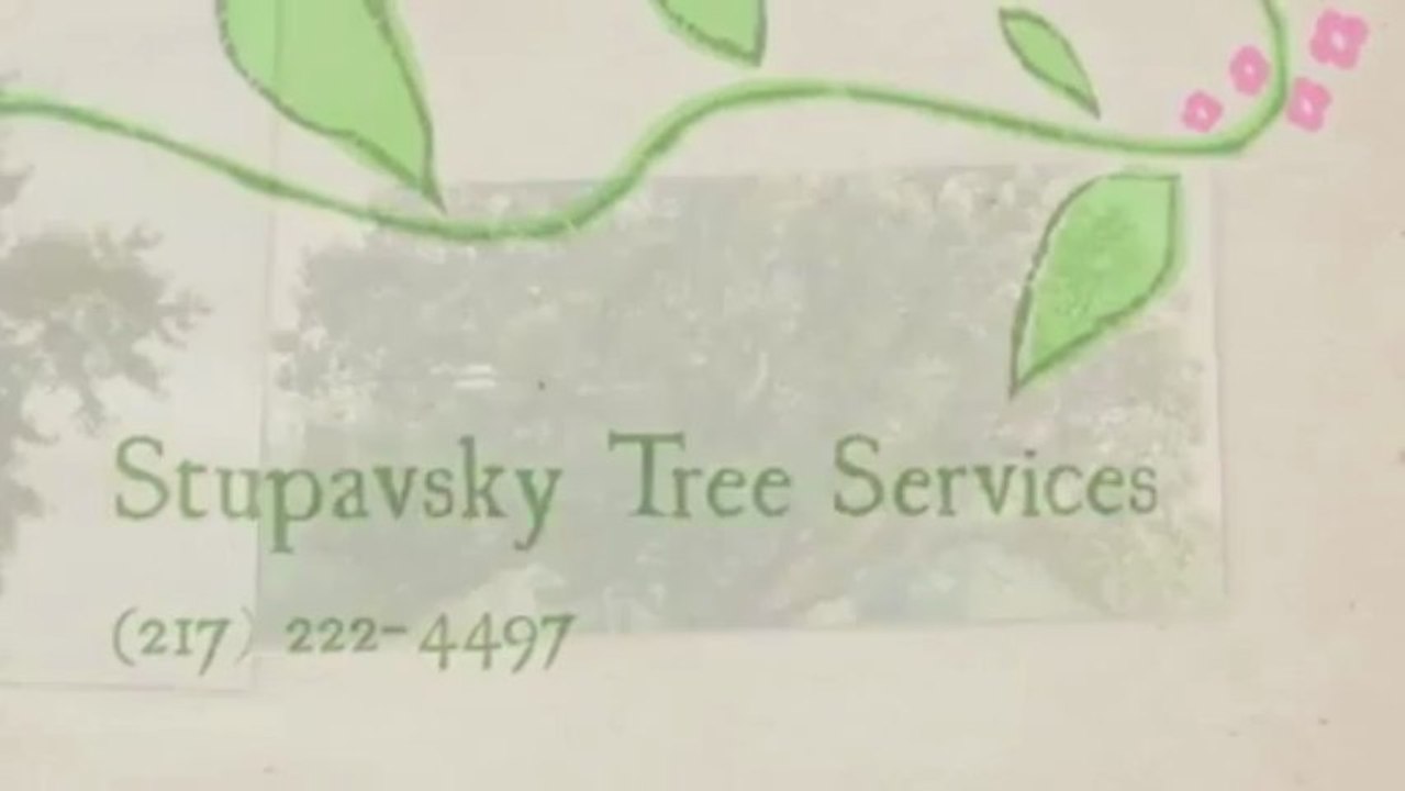 Stupavsky Tree Services (217) 222-4497