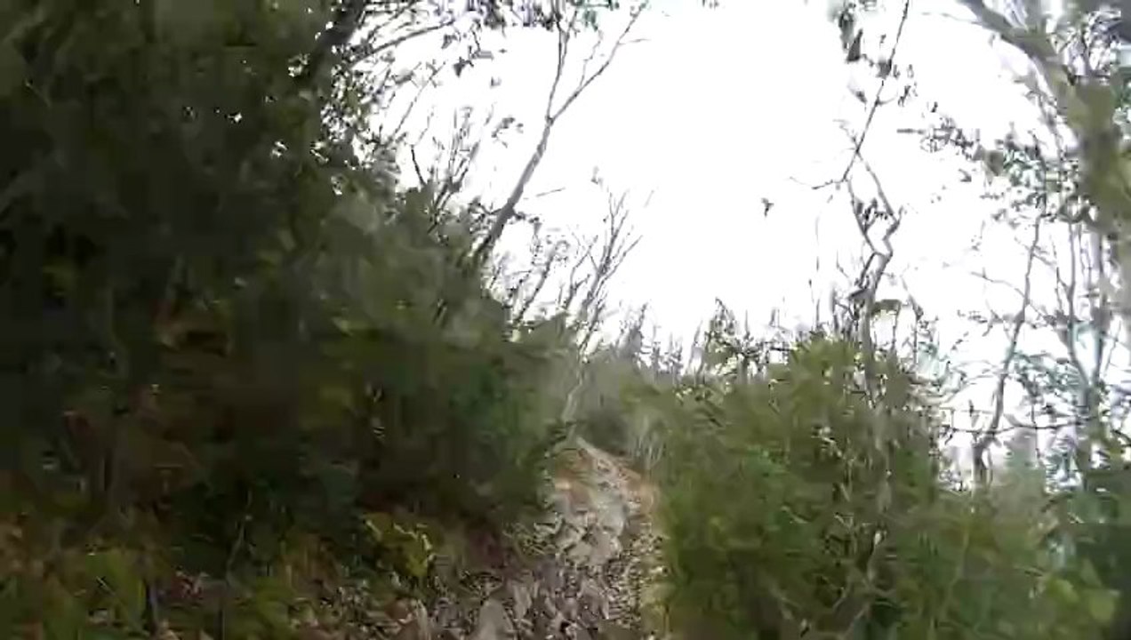 GOPR0022