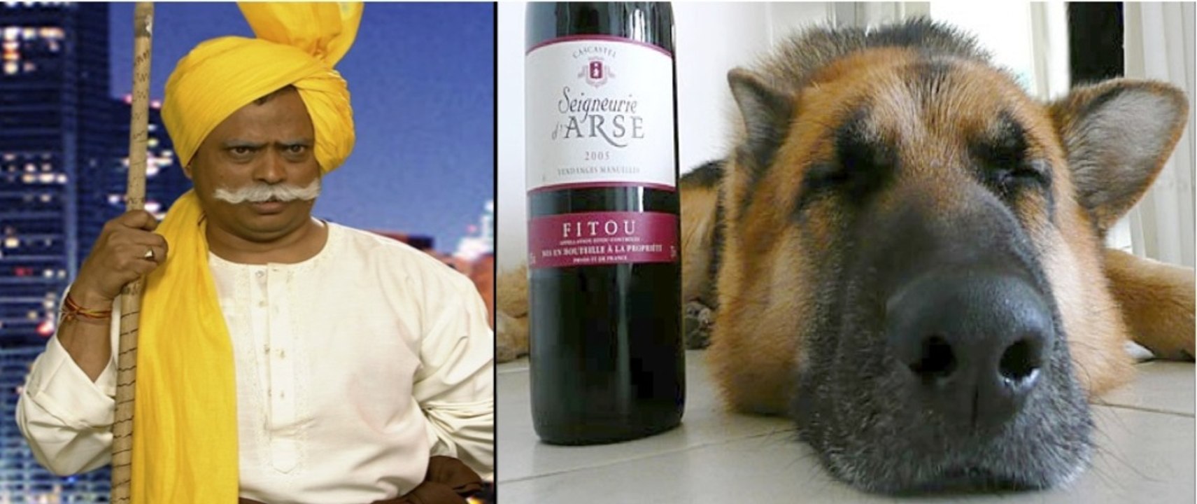 Rapist Tau & Drunk Dog