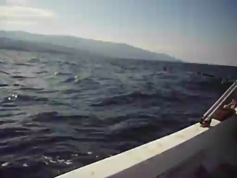 Mor video 4