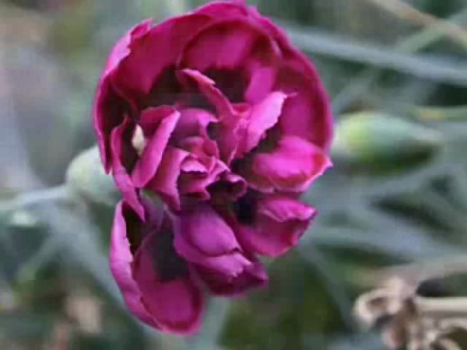 NASHEED - " SOUBHANALLAH "   - KAMAL UDDIN