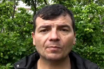 Aşerenler için 70 liradan satışta