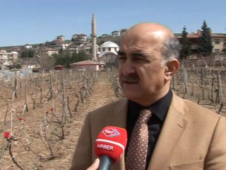 402 ŞEHİT MERHAMET BEKLİYOR