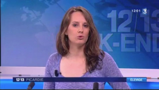 20130316-F3Pic-12-13-Drucat-La ferme des 1 000 vaches pose son permis de construire