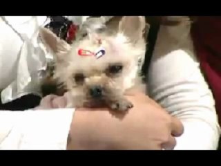 썬시티 ★vip933.com★ 카지노