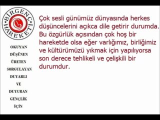 Birgenç Hareketi Kültürel Yozlaşma