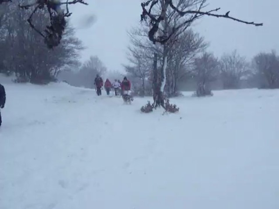 les traces 2013/1