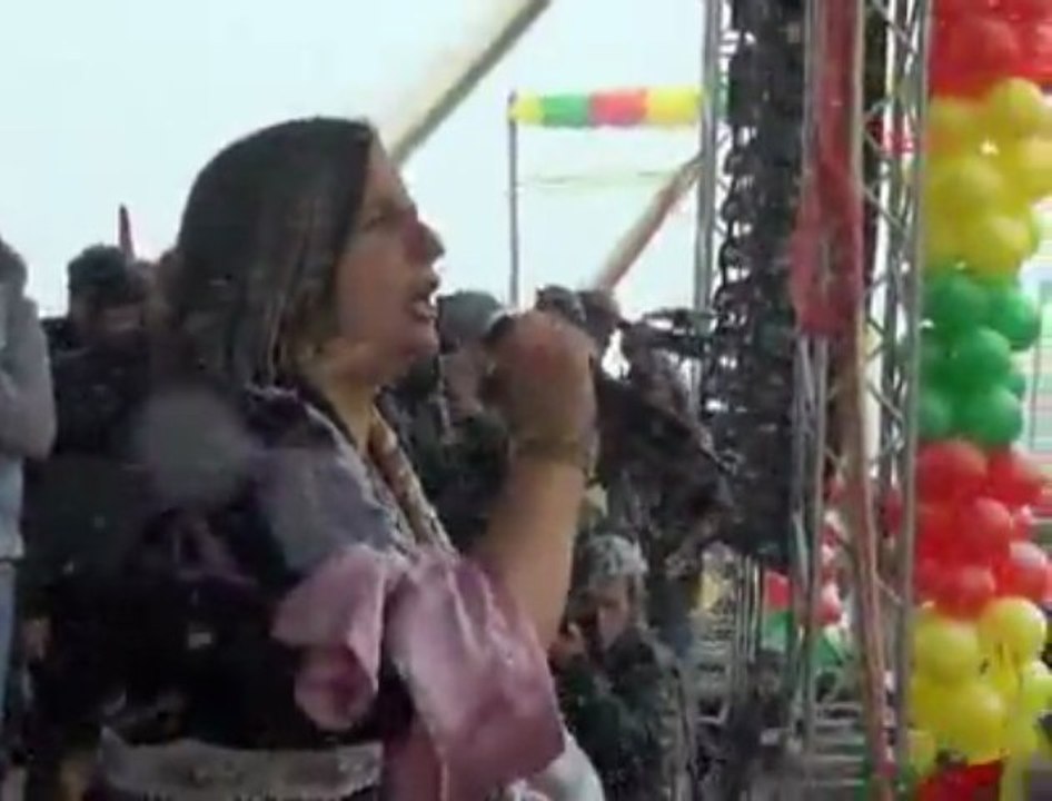 Gültan Kışanak hakkari