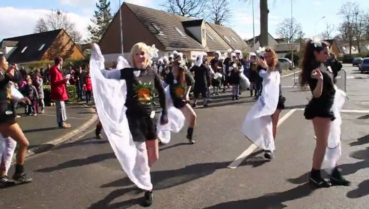 Carnaval de Montlouis-sur-Loire 2013