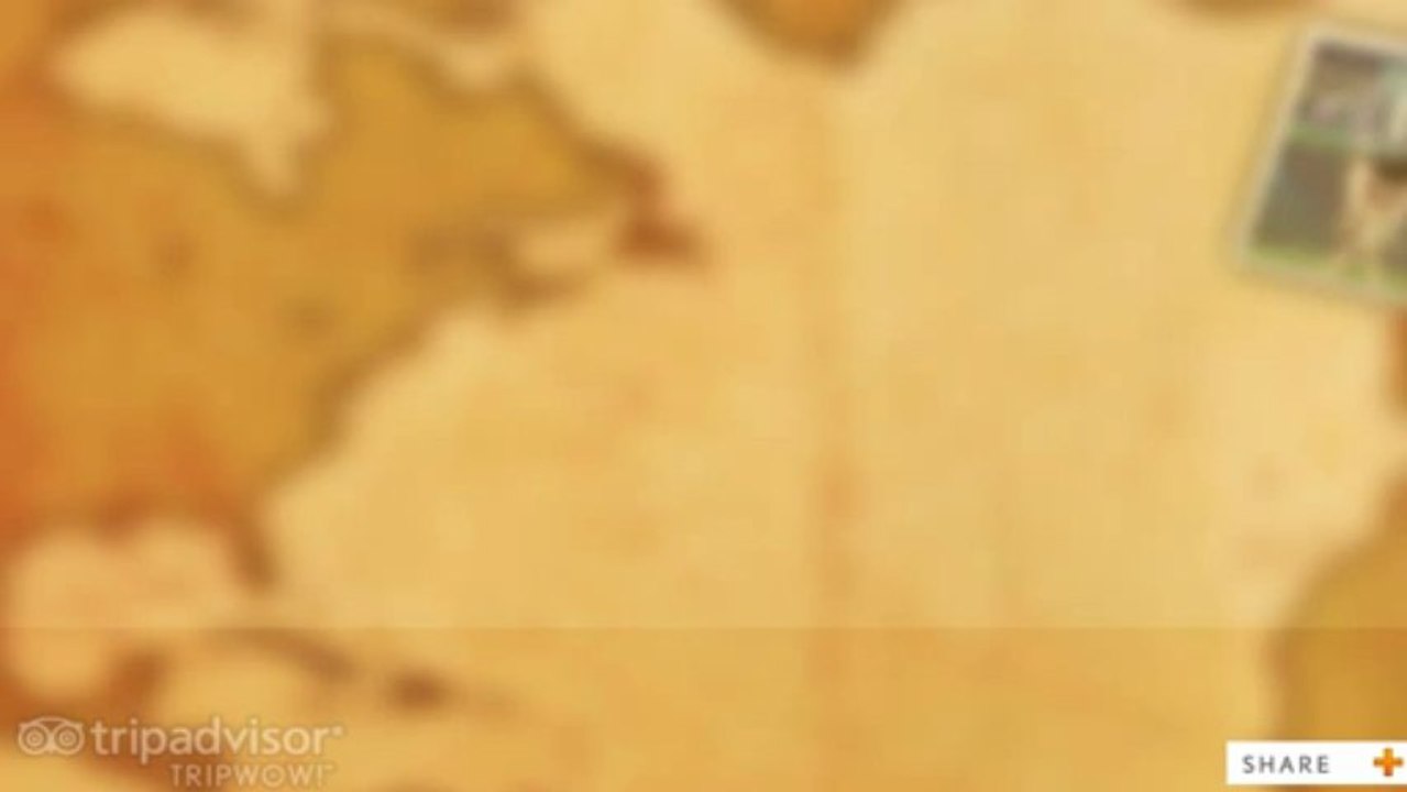 Mi nuevo opening