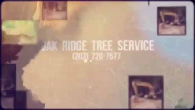 Oak Ridge Tree Service (203) 720-7577
