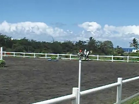 17.03.13 - club 2 vitesse - Margaux et Sexpistol