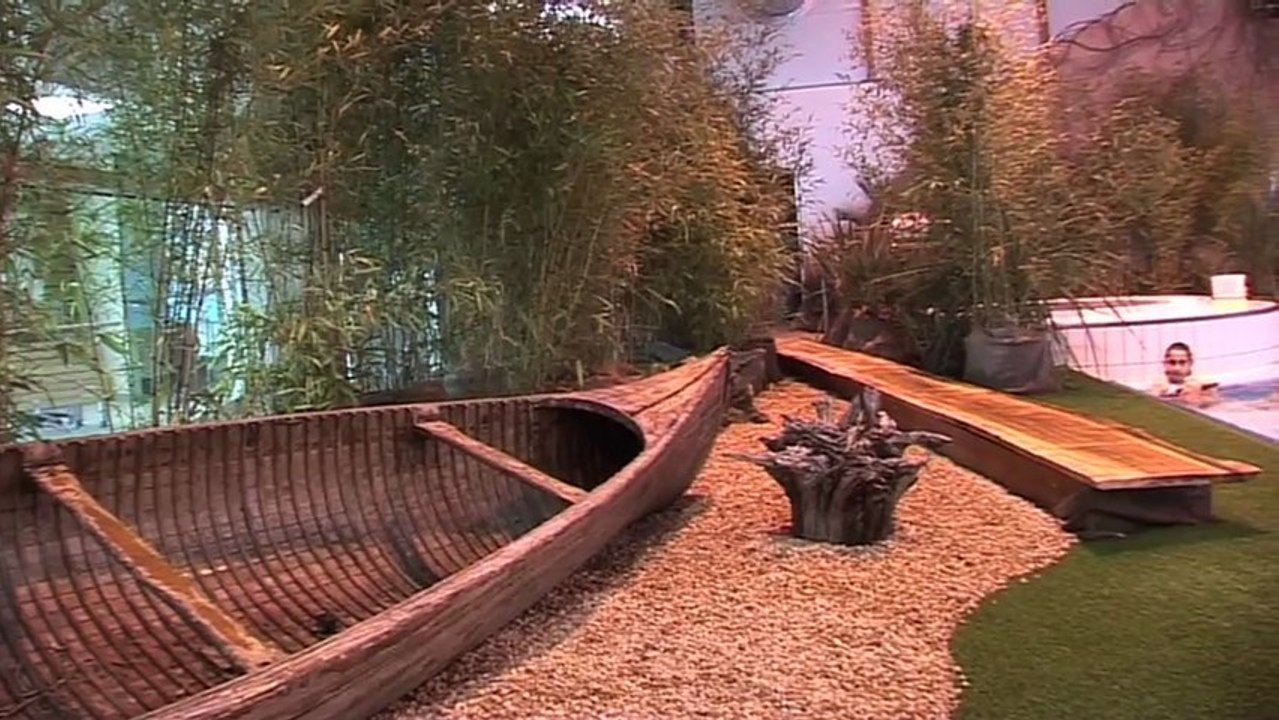Quinzaine de la Jungle au Triton