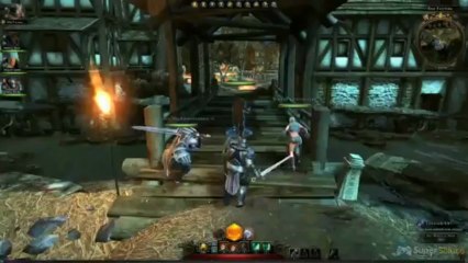 Dungeons & Dragons : NeverWinter - Le Joyau du Nord