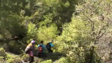 Bağ budama Zamanı Kavacık