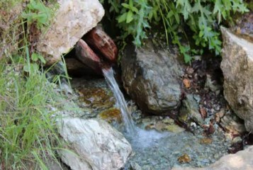 Hashim Shala & Enver Batllava - Musa Isufi