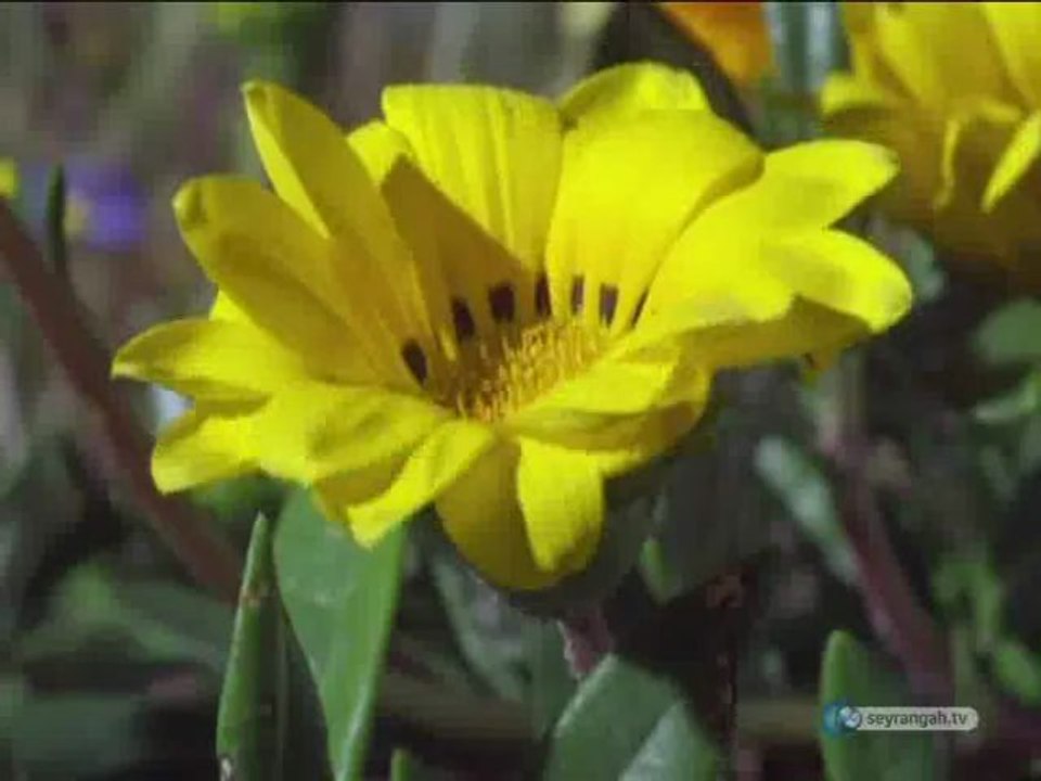 Esma-ül Hüsna - 19 [El-Basit] | HD