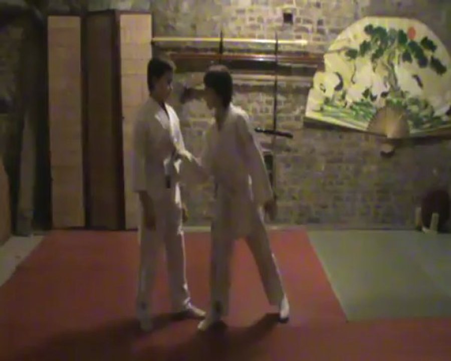 Gyaku hanmi obi gedan dori