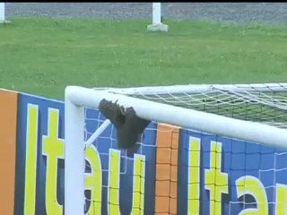 Neues aus Brasilien 🇧🇷