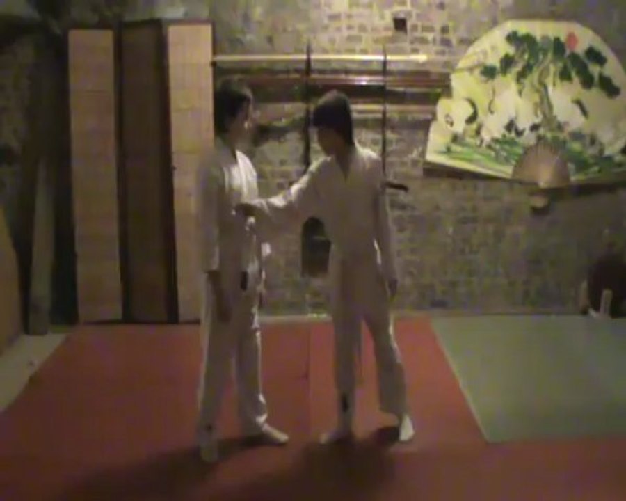 Gyaku hanmi mune dori gedan