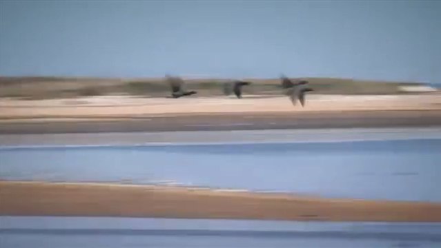 Pub TV - Music by Frederic La Verde - Ile d'Oleron-Bassin de Marennes Naturellement -