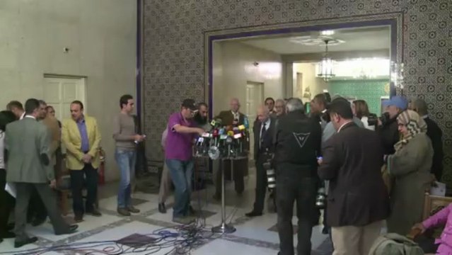 UN and Arab League envoys call for political settlement in Syria