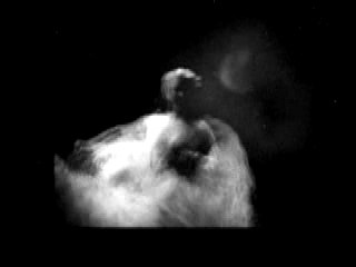 Nicolas Repac - La nuit...