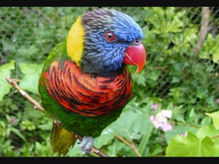 15. Ey İnsan Benim Mekri İlahiyemden Ebediyyen Emin Olma