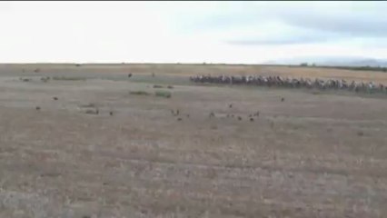 Mountain Bike - Cape Epic: Hermida y Van Houts, líderes después de la primera etapa