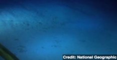Microbes Discovered in the Deepest Part of the Ocean