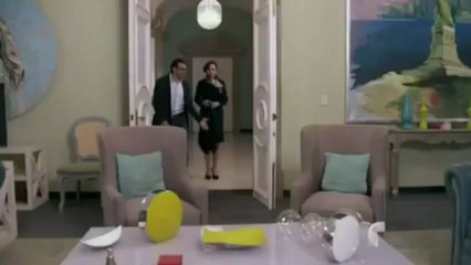 Salon de belleza de gatas loose