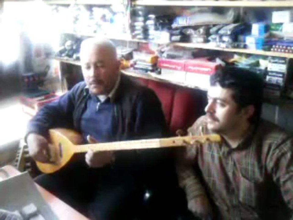 Muhsin Tozlu - Bahçada Yeşil Çınar - 3