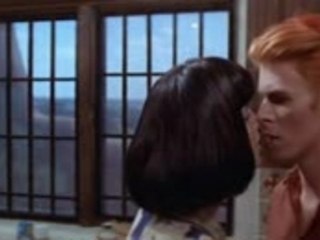 the man who fell to earth