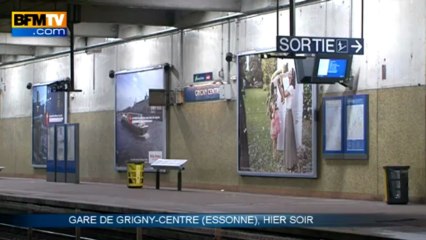 RER D: une bande de jeunes attaque une rame pour détrousser les voyageurs - 19/03