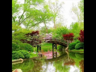 Ricky King titre Time To Say Goodbye