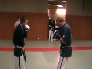 Placer pour mawashi gueri optimal.MOD.mp4