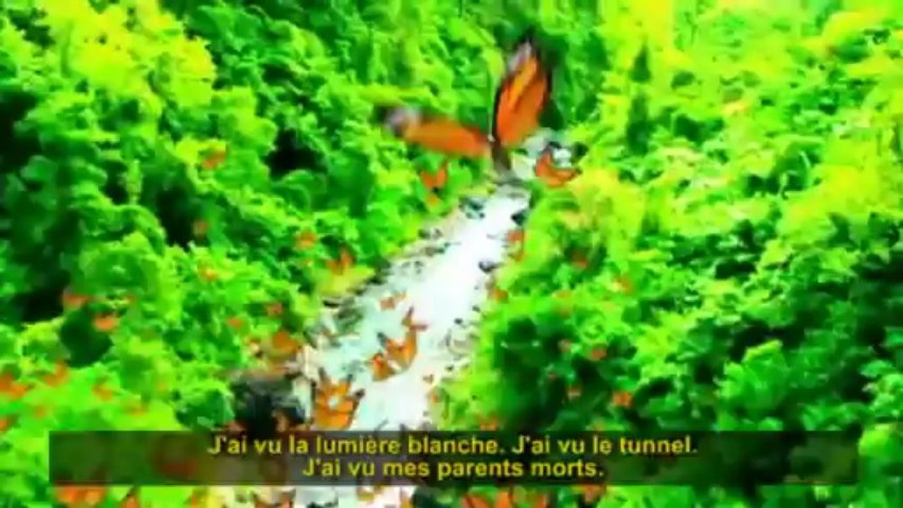 Et si la physique quantique expliquait les expériences de mort imminente ?