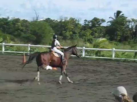 17.03.13 - club 3 GP - Elise et Gavroche