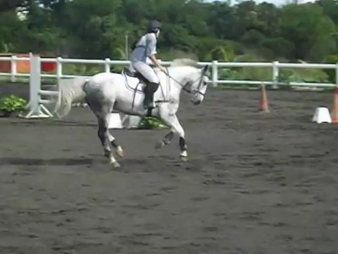 17.03.13 - club 3 GP - Anaïs et Rebelle